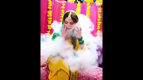 Video 7641171: lovers cats catlover, cat lovers feed, feeding cat funny