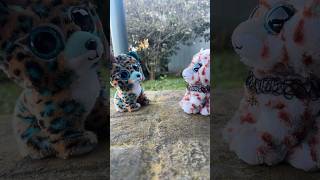 Heh Coco Can Be A Little Compeive