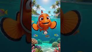 Not nemo #clownfish #fish