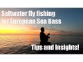Fly fishing for European Sea Bass - Tips and Insights!