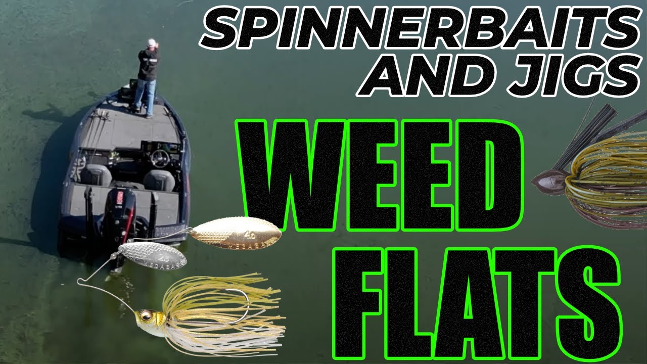 Big Spinner Bait and Swim Jigs: Fall Bass on Shallow Weed Flats