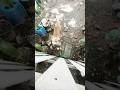 タオ島に新たな野放しフレンチブル現る！#フレンチブルドッグ