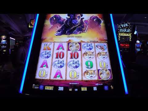 Casino Del Sol 6 20 09JayPerez1
