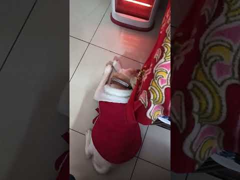 Mera CoCo
