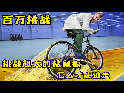 小老鼠挑战超大粘鼠板怎样才能逃出去？他竟然选择用滑板冲过去