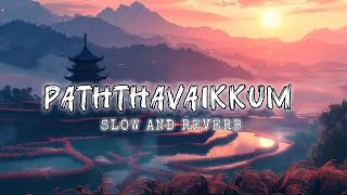 Download lagu PATHTHAVAIKKUM (SLOWED   REVERB)