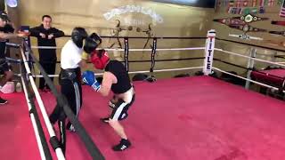 Dreamland boxing #boxing #sparring 