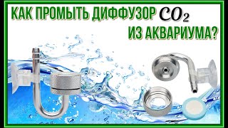 Промывка диффузора системы подачи CO2 в аквариум.