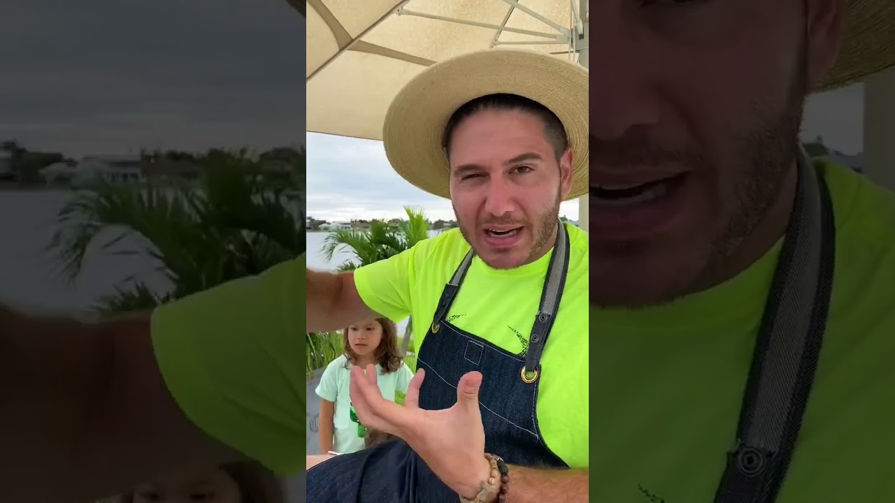 RECETA PARA UNA PAELLA, PLATO TÍPICO ESPAÑOL