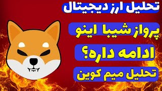 پرواز شیبا اینو تا کجا ادامه داره؟ |تحلیل میم کوین