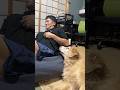 こいつだよな、、触ってるの。。#ゴールデンレトリーバー #大型犬のいる生活