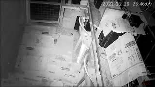 Yung Pldt Nyo Bigo1251