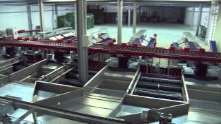 Sorter - line with presorting and robot for stacking and destacking bins