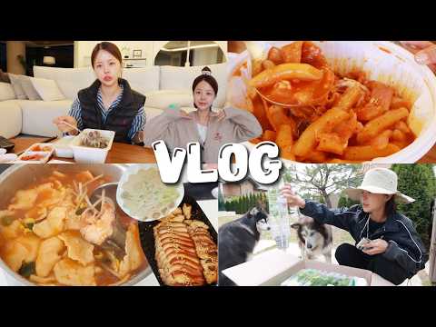 [먹방vlog] 한식파의 해장,귀국음식으로 쓸어내리는 방법😏 _ 엽떡수혈+손수제비 동태탕+순댓국+해장냉면+족발보쌈+콩국수+열무냉국수+농사톨 thumbnail