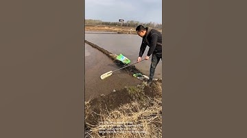 Preparing rice paddies: cleaning and leveling the soil