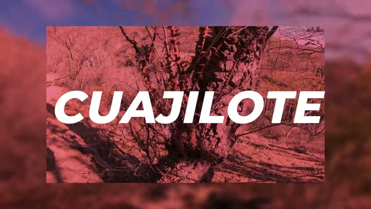 Explorando AJALPAN: ciudad sobre la ARENA del AGUA.