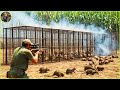 How do hunters and farmers deal with millions of baboon mouse and bear  farming documentary