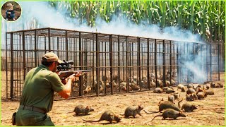 How Do Hunters And Farmers Deal With Millions Of Baboon, mouse And Bear | Farming Documentary