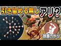 結魂者で『引き留める抜き』はどうなん？使ってみた結果。【第五人格】【IdentityV】