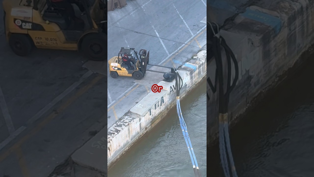 Forklift certified cruise ship edition