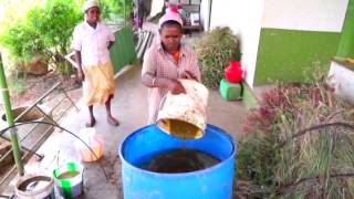 Harvest Fresh Farms, Theni