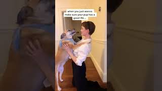 @avalonwarren @BarbieDoll