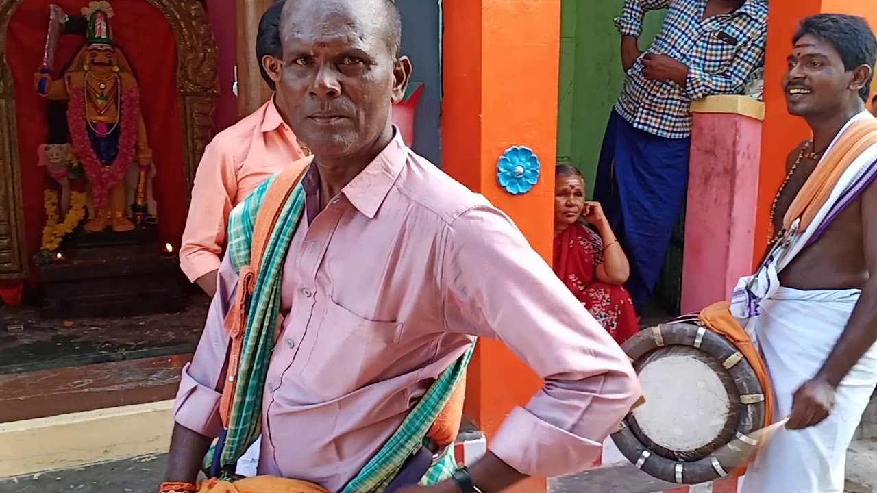 சந்தன மல்லிகையில் தூளில் கட்டி போட்டு