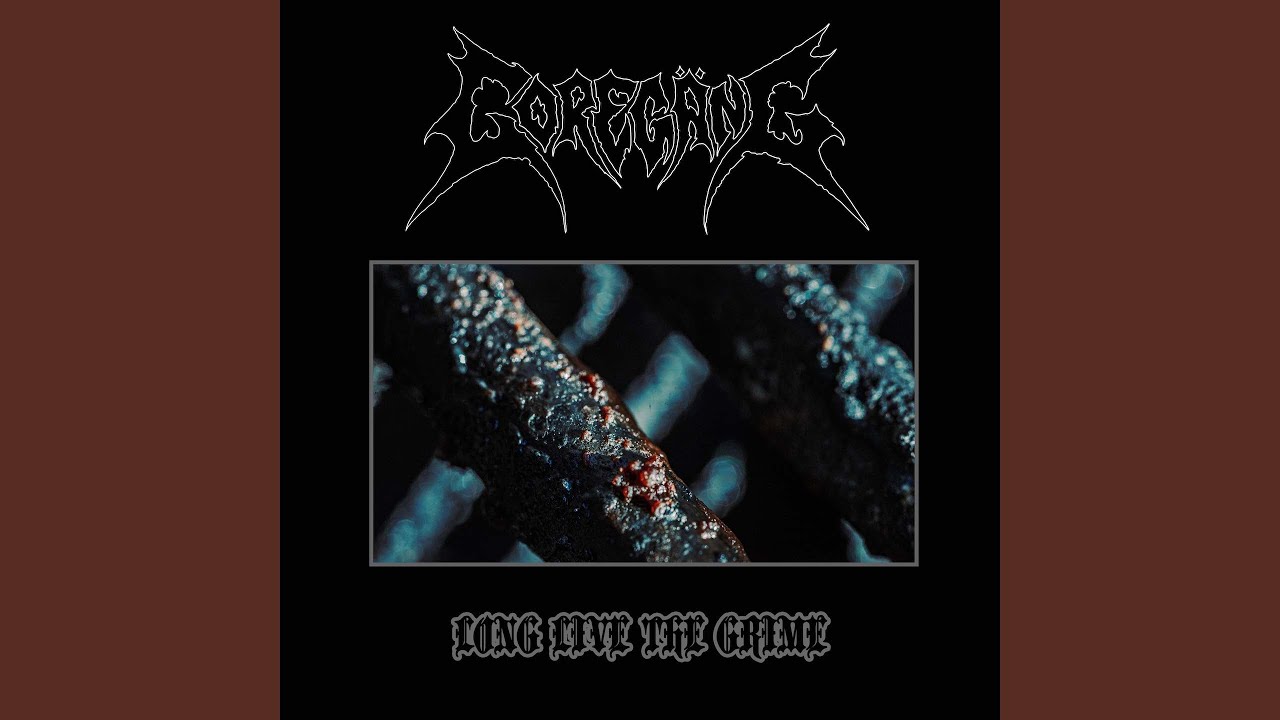 Plague of Hammers (Live)