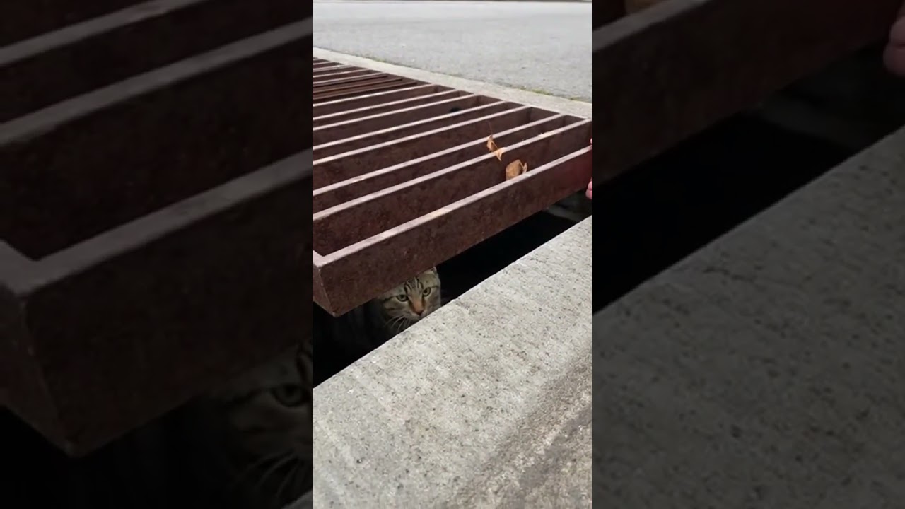 It made more sense after watching twice 