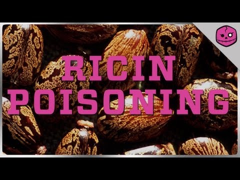 リシン中毒：ブレイキング・バッドの豆