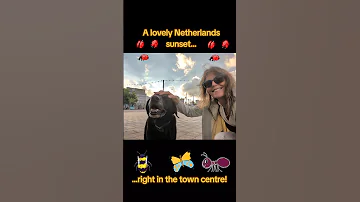 Long grass in Eindhoven centre makes the city full of nature and is fantastic for insects! #nature