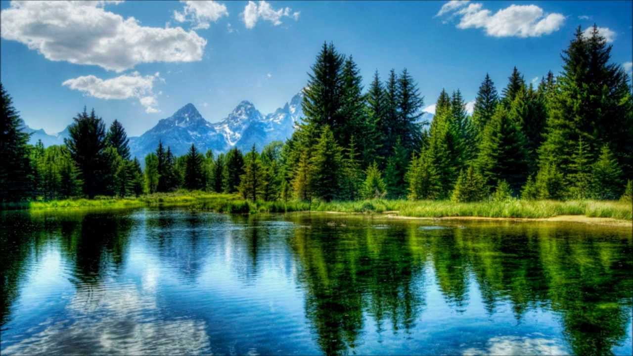 3 h Musique Relaxante | Nature | Forêt | Lac | Source | Chants des