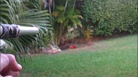 Pure SL8R   uncapped ramp