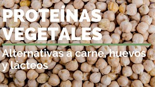 LAS PROTEÍNAS VEGETALES: Alternativas a la carne, huevos y lácteos. Macrobiótica