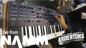 Checking out the Dave Smith OB-6 Synthesizer