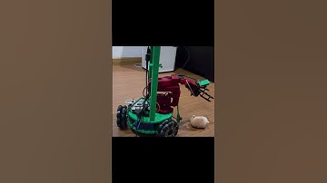 Success and Fail | The LeKiwi robot is remotely controlled by an AI policy
