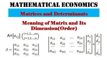 Meaning of Matrix and Its Dimension (Order)