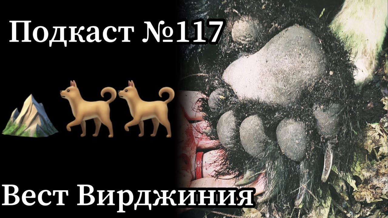 Вест вирджиния фото