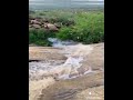 انشودة دينية موثرة أجمل حالات وتس اب و انستغرام الهي جئت استجديك 