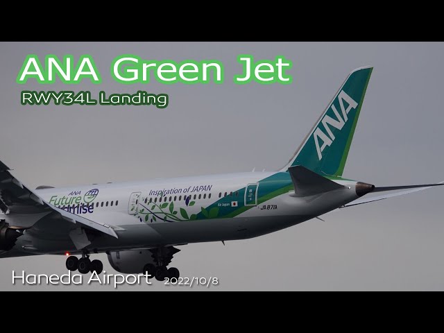 Green Jet】 ANA B789 (JA871A - ANA Future Promise Livery) NH224