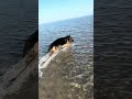 Lake Erie Big Tom can’t catch him