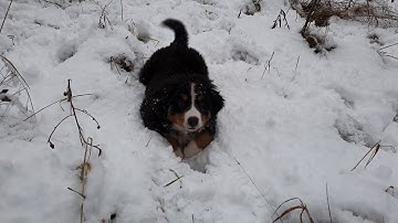 25.11.20 6 часть.