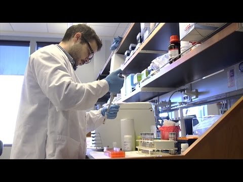 Video: Zal listeria in bloedonderzoek verschijnen?