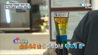 무지개빛 칵테일이 섞이지 않고 7가지 빛깔로 나눠지는 이유는? / YTN 사이언스 무지개빛 칵테일이 섞이지 않고 7가지 빛깔로 나눠지는 이유는? / YTN 사이언스