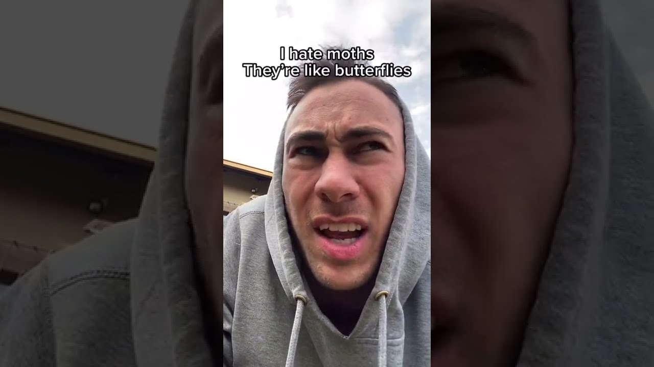 Even The Hadedas Liked My Joke 😂 