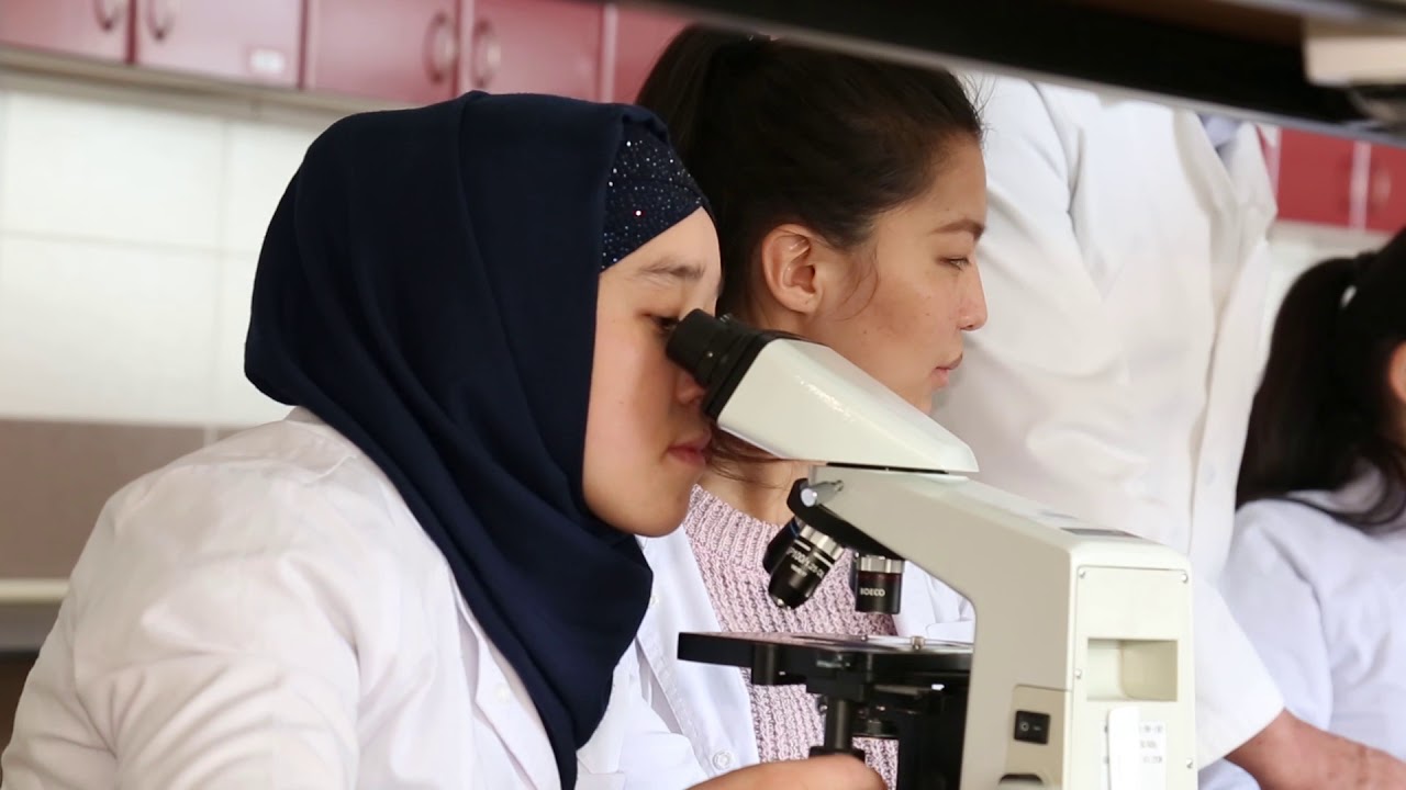 Код профессии лаборант в школе РБ Код профессии лаборант в школе РБ