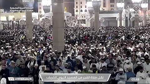 تلاوة شجية بتحبير نديّ من سورة المائدة للشيخ د. #عبدالله_القرافي فجر السبت 8 جمادى الآخرة 1447هـ