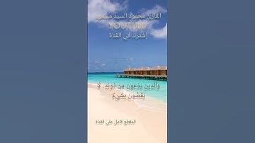 سورة غافر مؤثرة 🌹🤍 #اكسبلور #راحة_نفسية