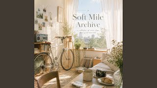 Soft Ticket Home screenshot 4