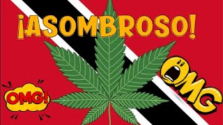 ¿Es legal fumar marihuana en TRINIDAD Y TOBAGO?